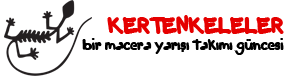 Kertenkeleler